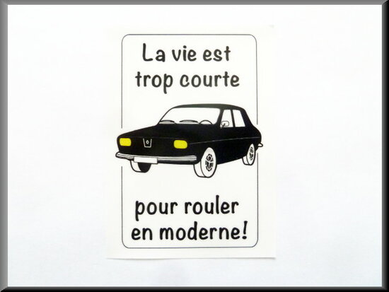 Binnenruit auto sticker "la vie est trop court".