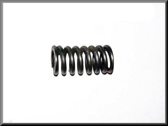 Locking gear spring