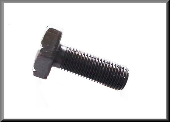 Fly-wheel lock bolt M9 x 1.0