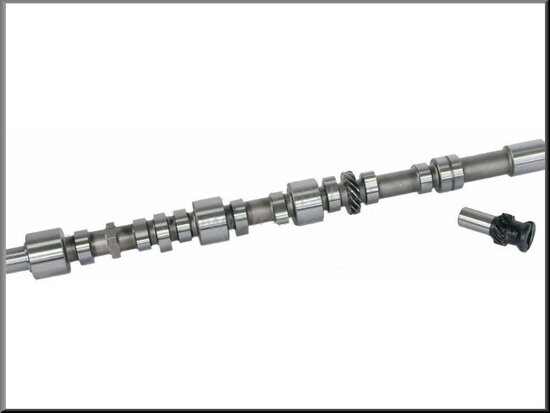 Camshaft with distribution gear R12 Gordini