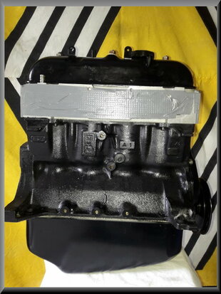 Engine block type 810-06 R12 TS.