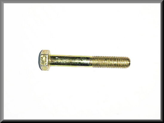 Bout M7x50 (geel gepassiveerd)