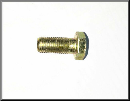 Bout M12x25 (geel gepassiveerd)