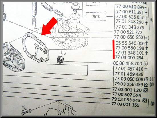 Water pump gasket