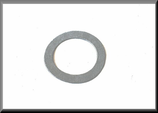 Distributor shaft seal