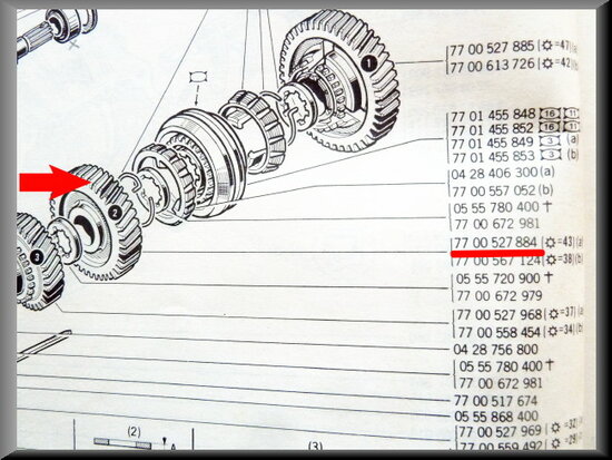 Pinion 2nd gear (43 teeth)