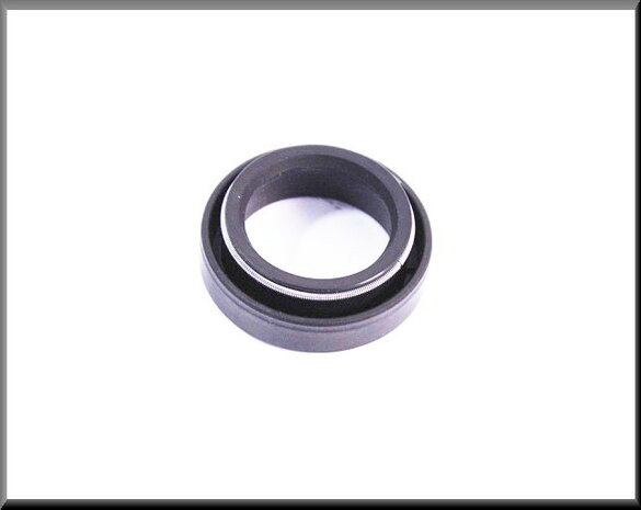 Main shaft seal (36x24x12 mm)