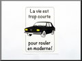 Car-sticker-for-inside-window-la-vie-est-trop-court